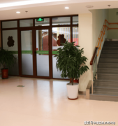 秋季“金秋书画展”